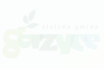 Remontowany budynek w Rogowie budynek zaczyna nabierać kształtów