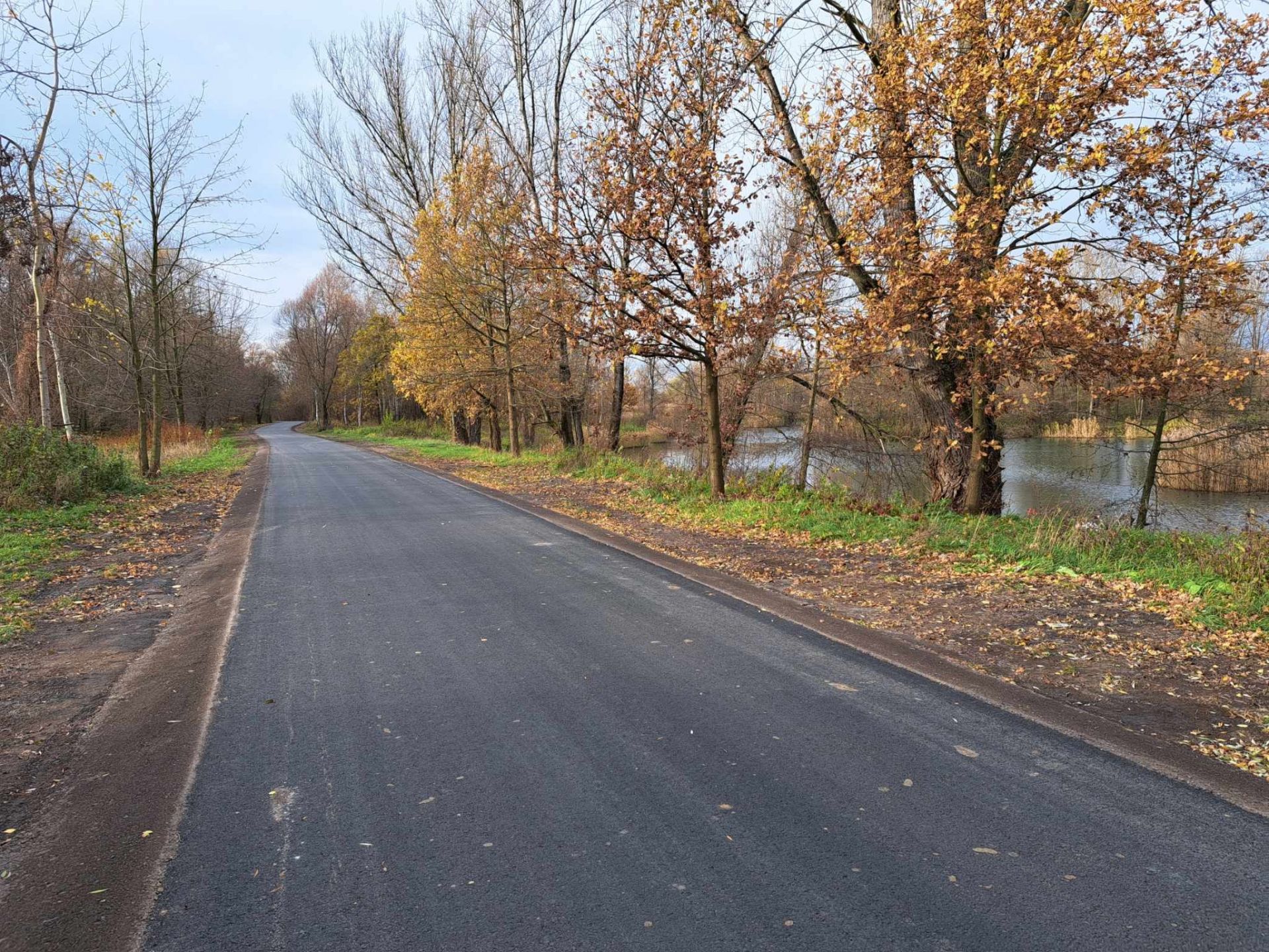 droga łącząca Uchylsko i Olzę