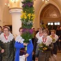 Niedziela Palmowa (4)