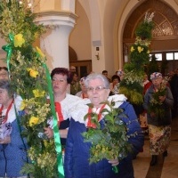 Niedziela Palmowa (7)