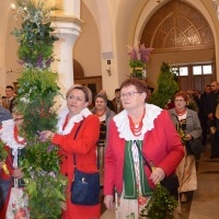 Niedziela Palmowa (9)