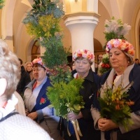 Niedziela Palmowa (14)