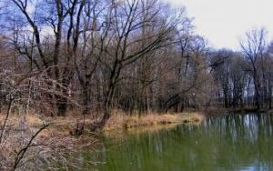Gmina wiosną