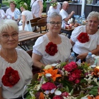 Noc Świętojańska (2)