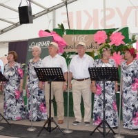 Noc Świętojańska (10)
