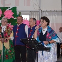 Noc Świętojańska (12)