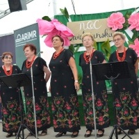 Noc Świętojańska (14)